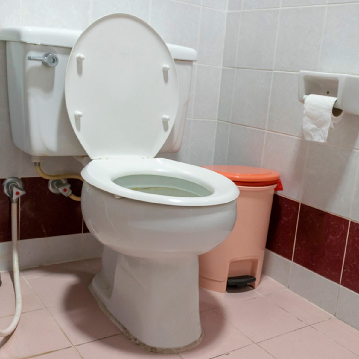 Always Close the Toilet Lid When You Flush, Here’s Why Family Handyman