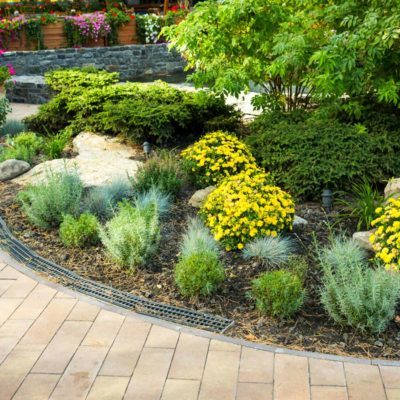 10 Tips for Landscaping Around Trees | Family Handyman | The Family