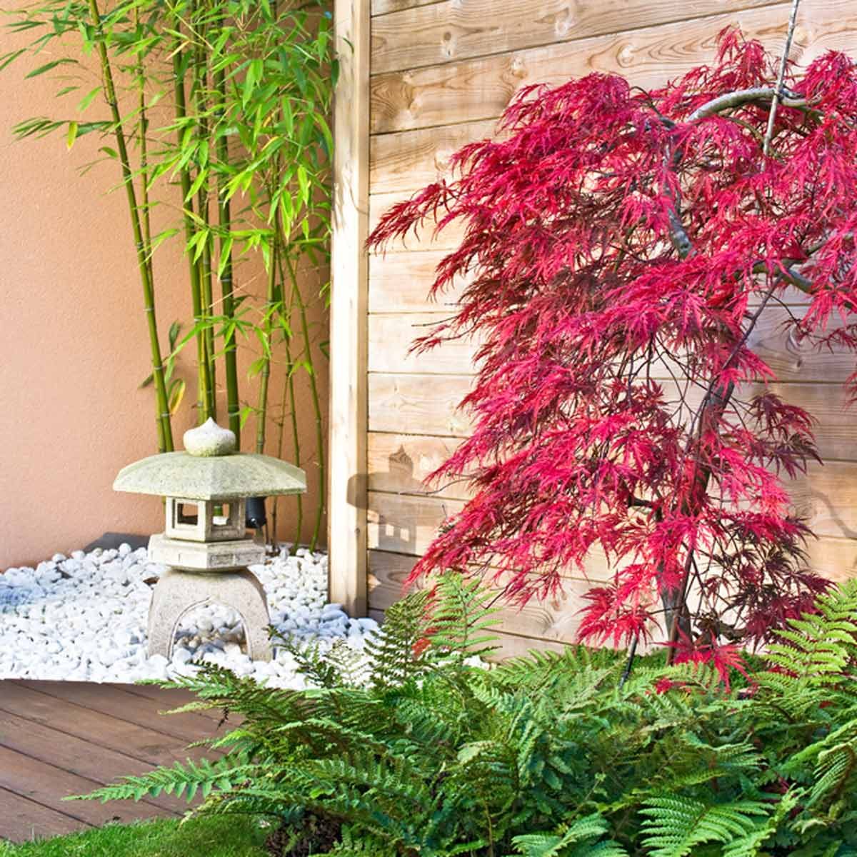 10 Clever Tips for Landscaping Around Trees