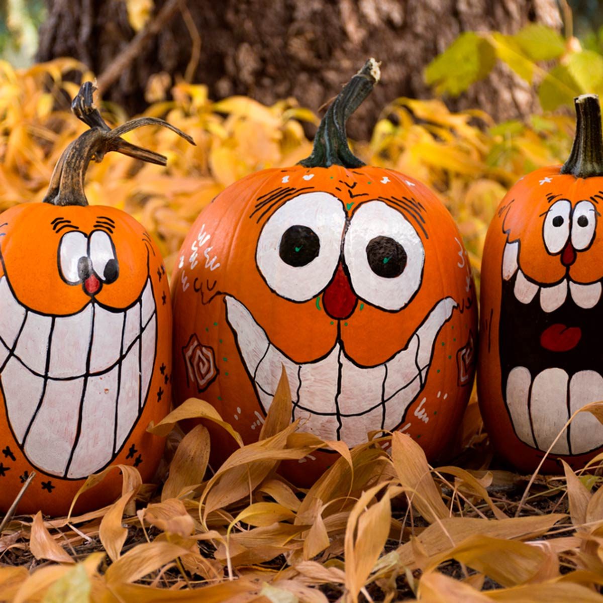 cute painted pumpkin faces