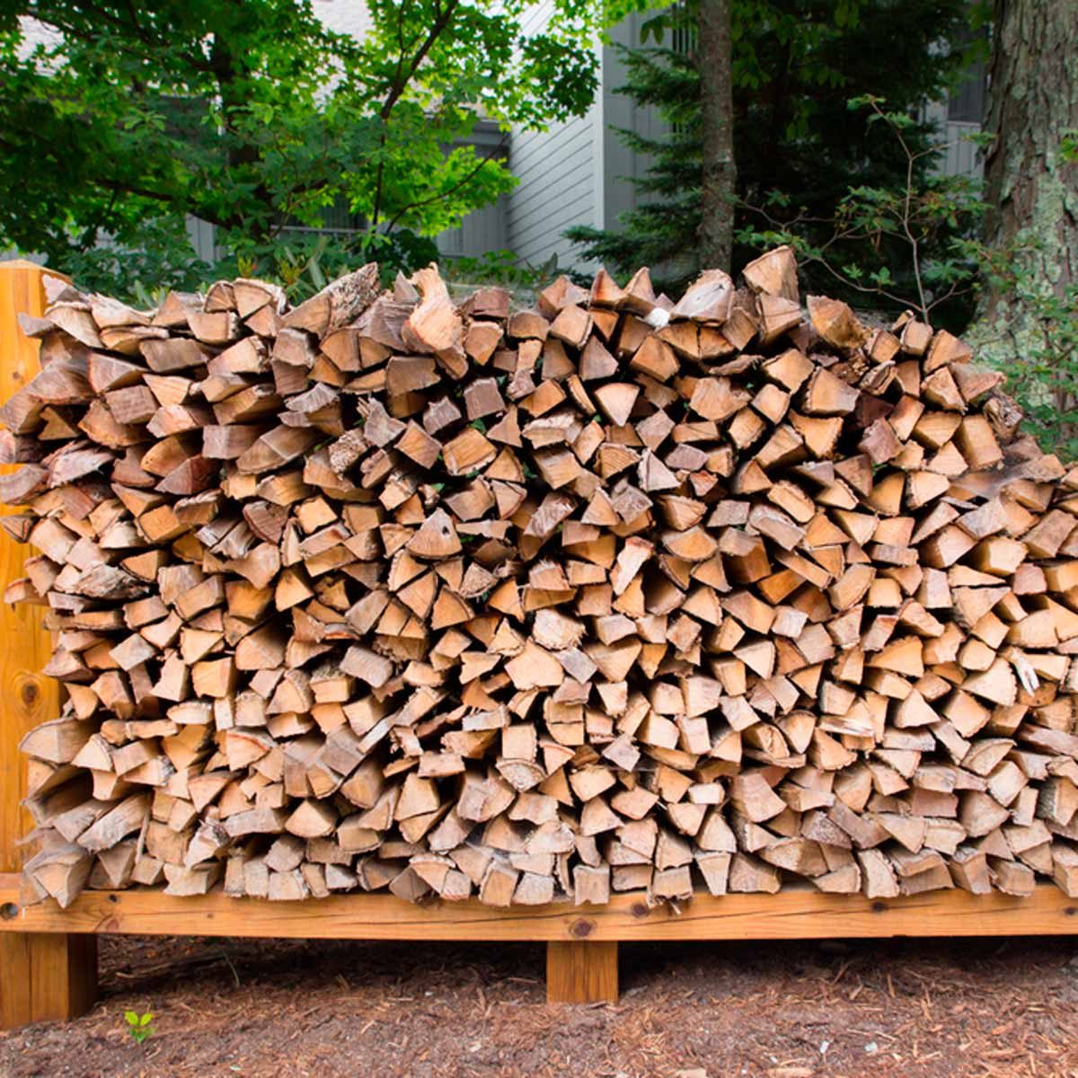 Basswood Firewood - A Bad Firewood Choice?