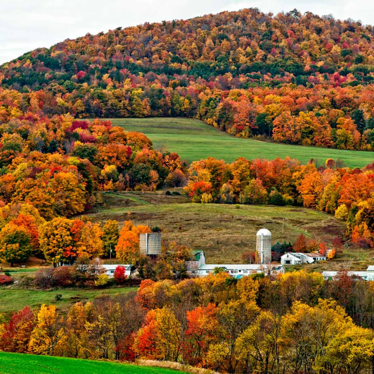 15 Best Places to See Fall Colors in the U.S. | Family Handyman