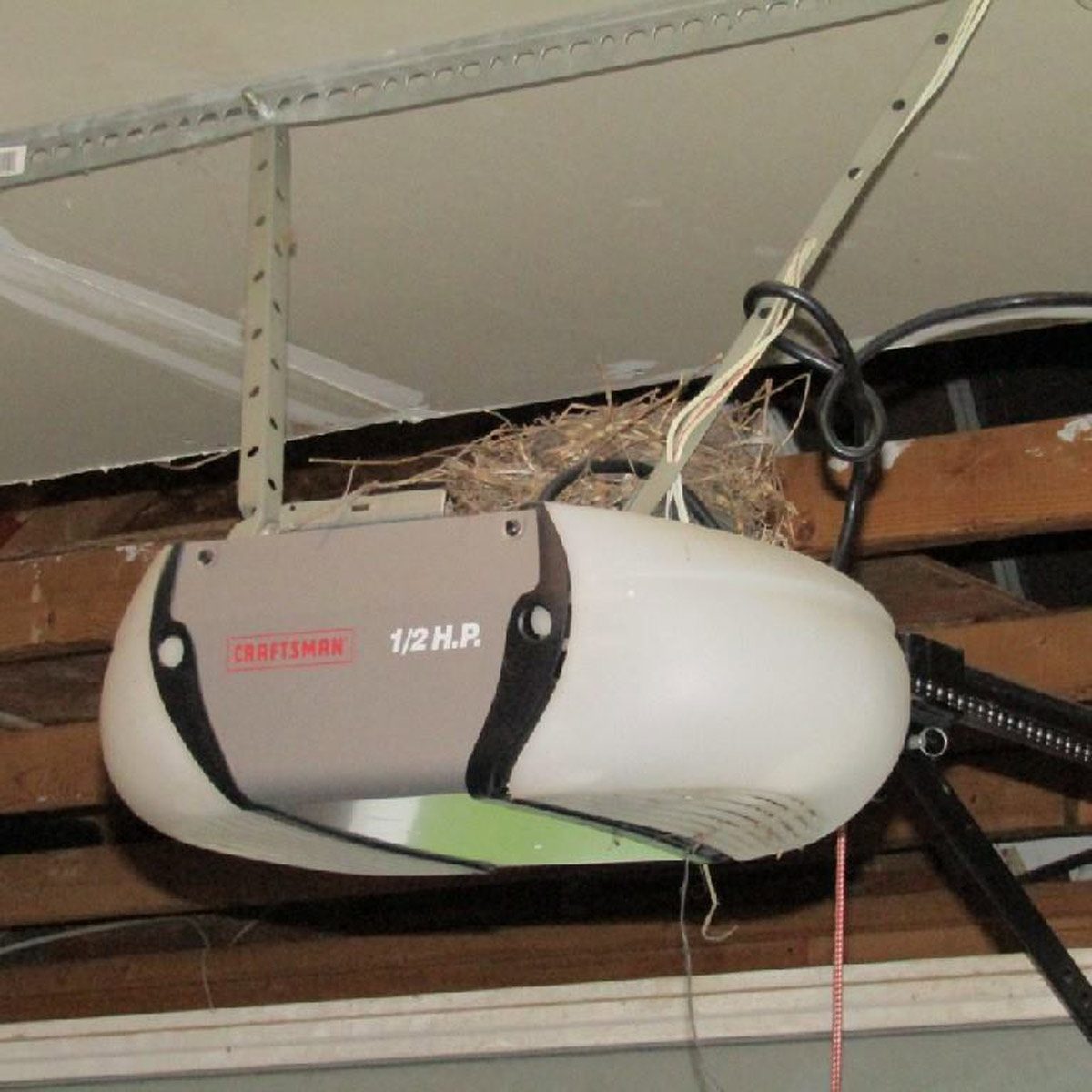 bird nest on top of a garage door opener