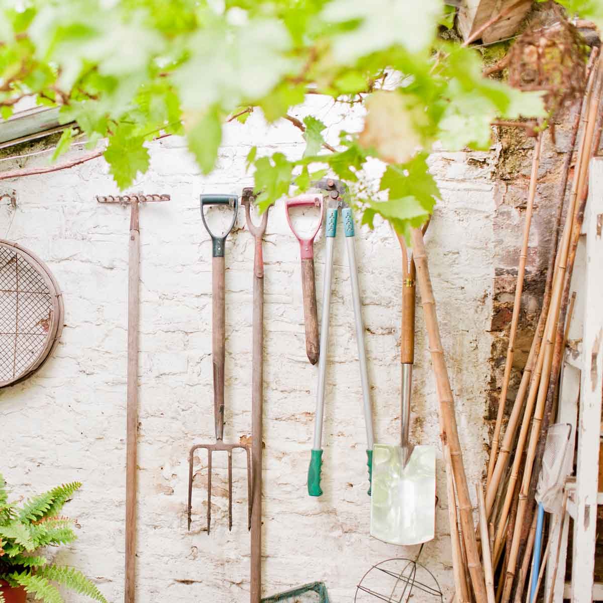 12 Best Gardening Tools