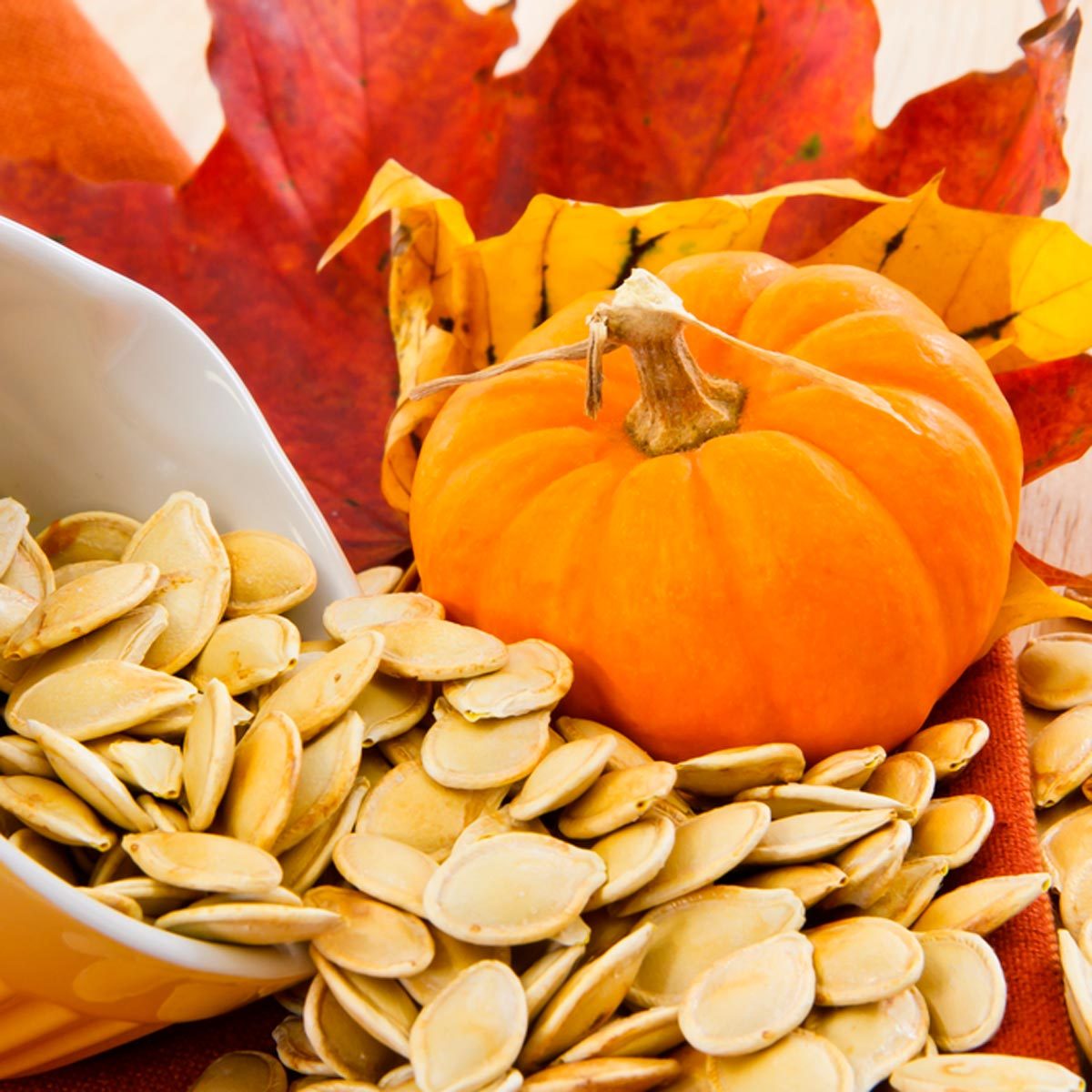 How to Save Pumpkin Seeds for Planting in the Spring
