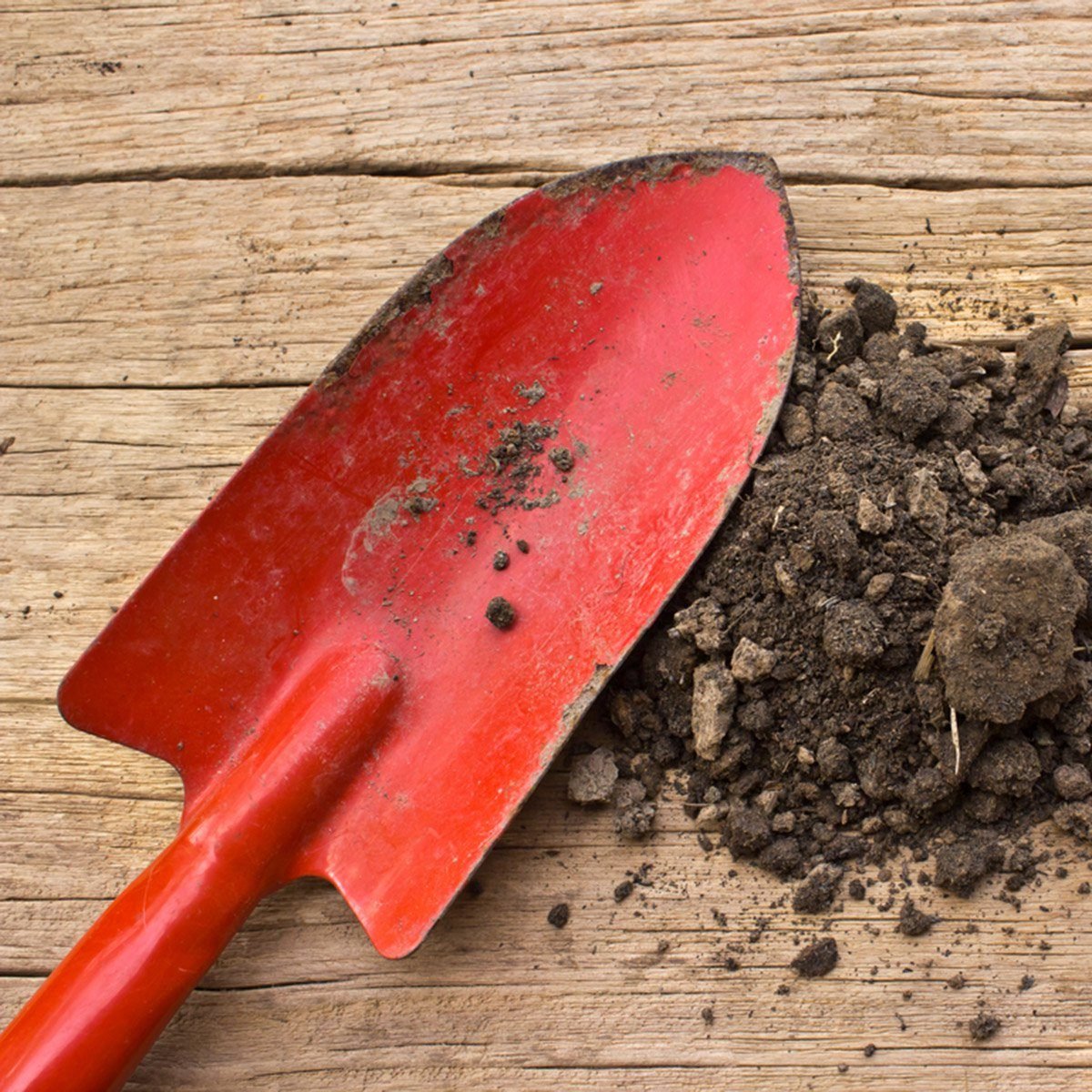 What Every Gardener Should Know About Topsoil
