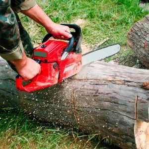 Chain Saw Safety Family Handyman