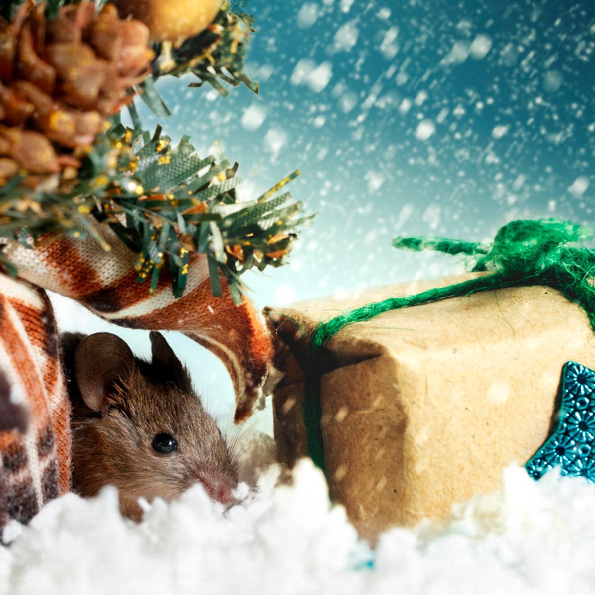 12 Quirky Christmas Traditions You Should Try