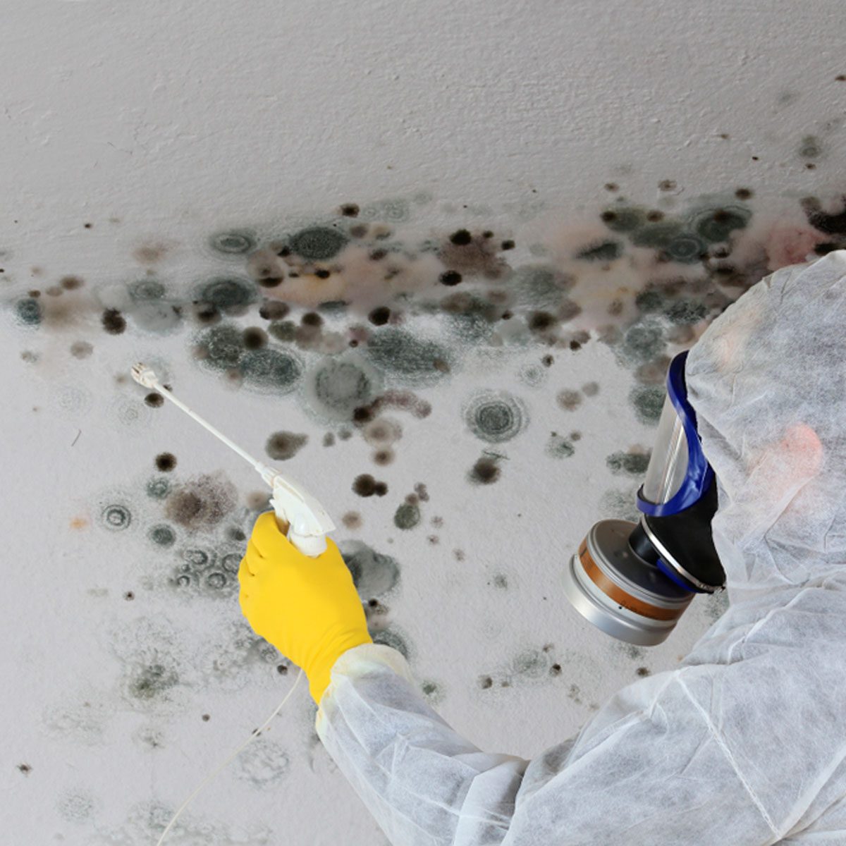 The Secret to Preventing Mold in Your Crawl Space