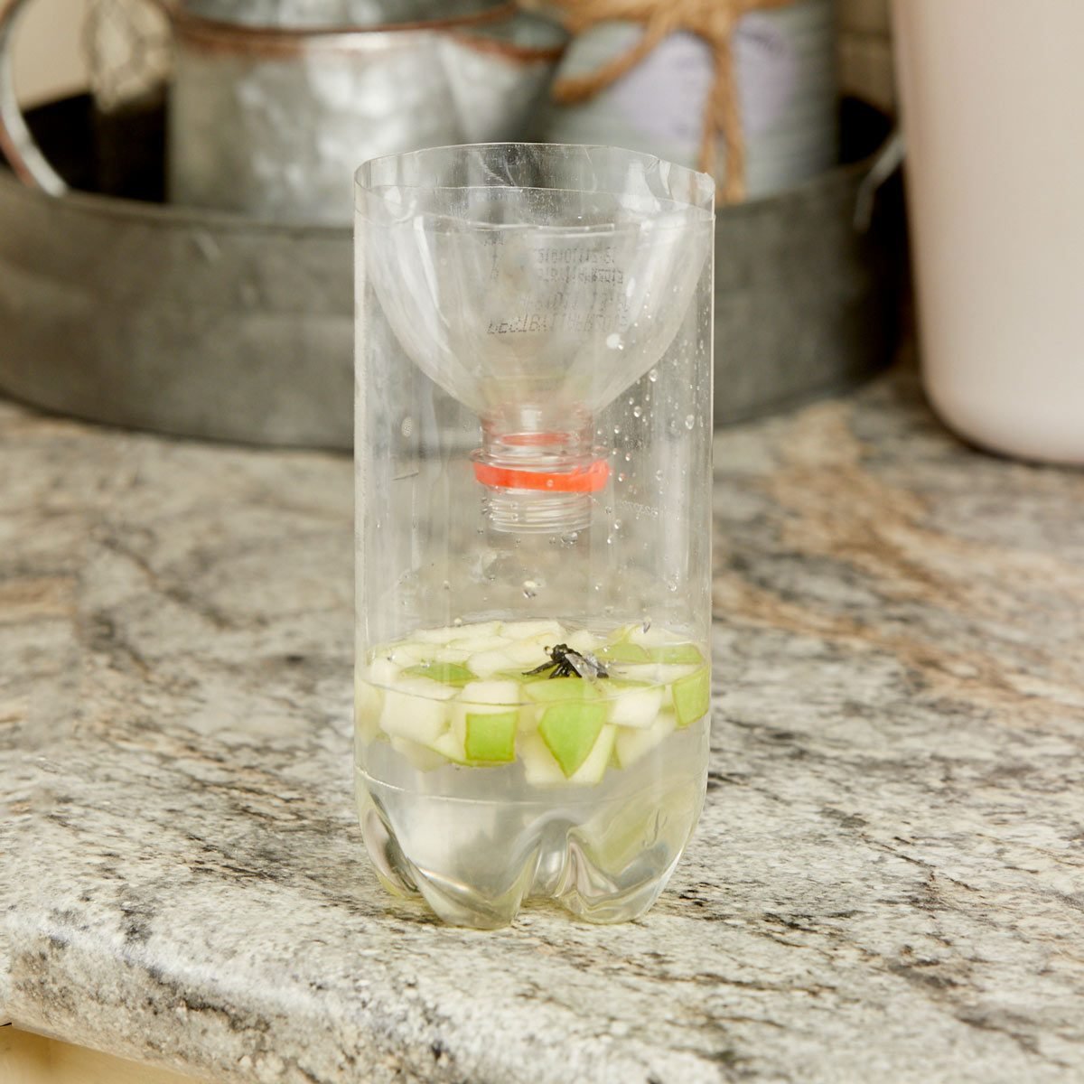 How to Make a Simple DIY Fly Trap