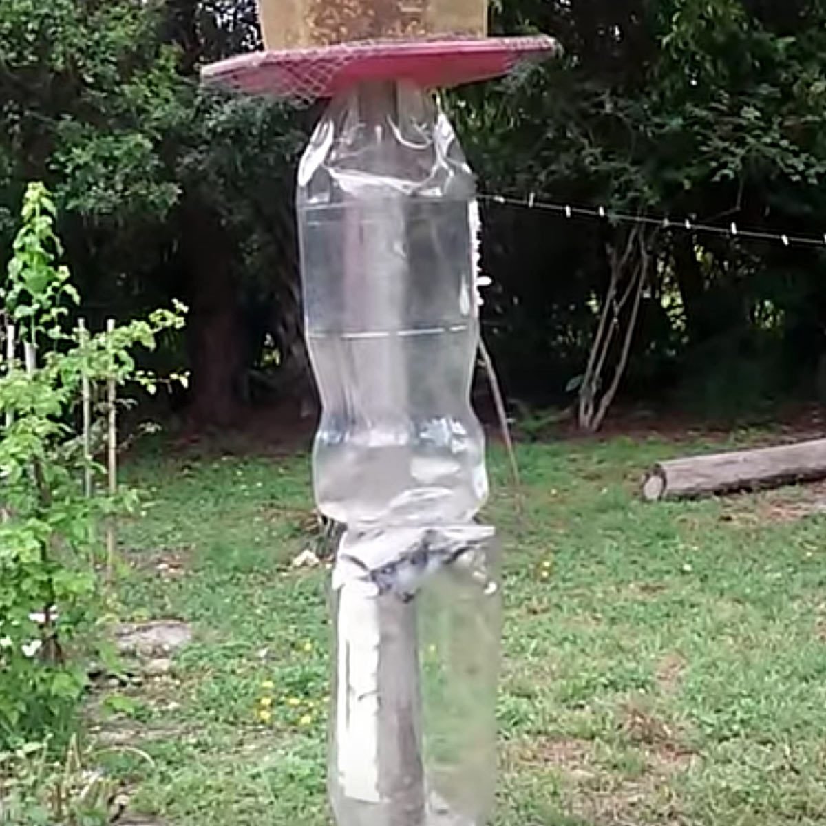 25 Crazy Attempts At Preventing Squirrels From Reaching Bird