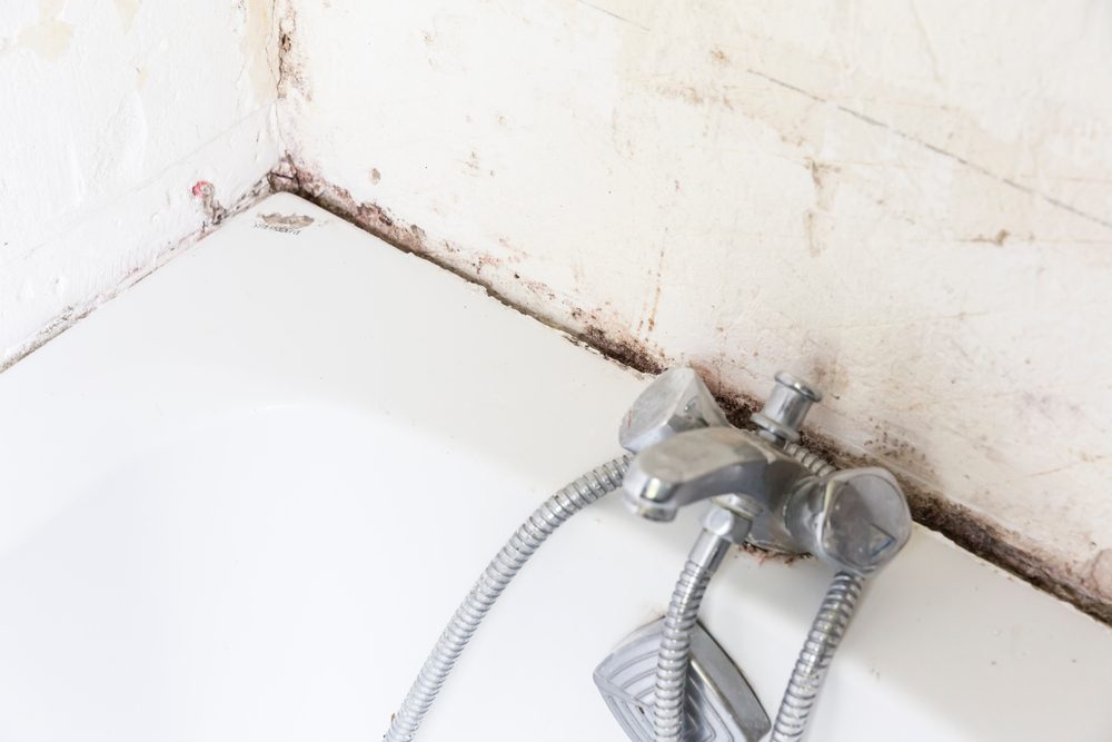 This Is How Often You Should Clean Your Bathtub at Home