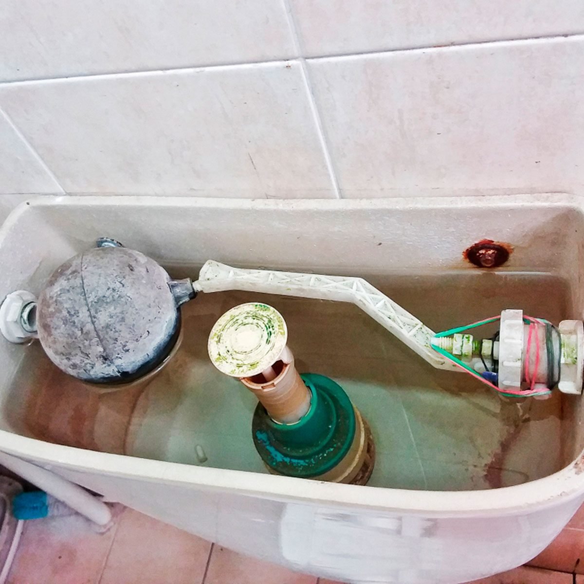 Here's How to Clean Your Toilet Tank
