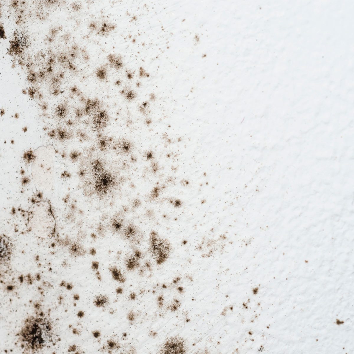 How to Get Rid of Mold on Bathroom Walls