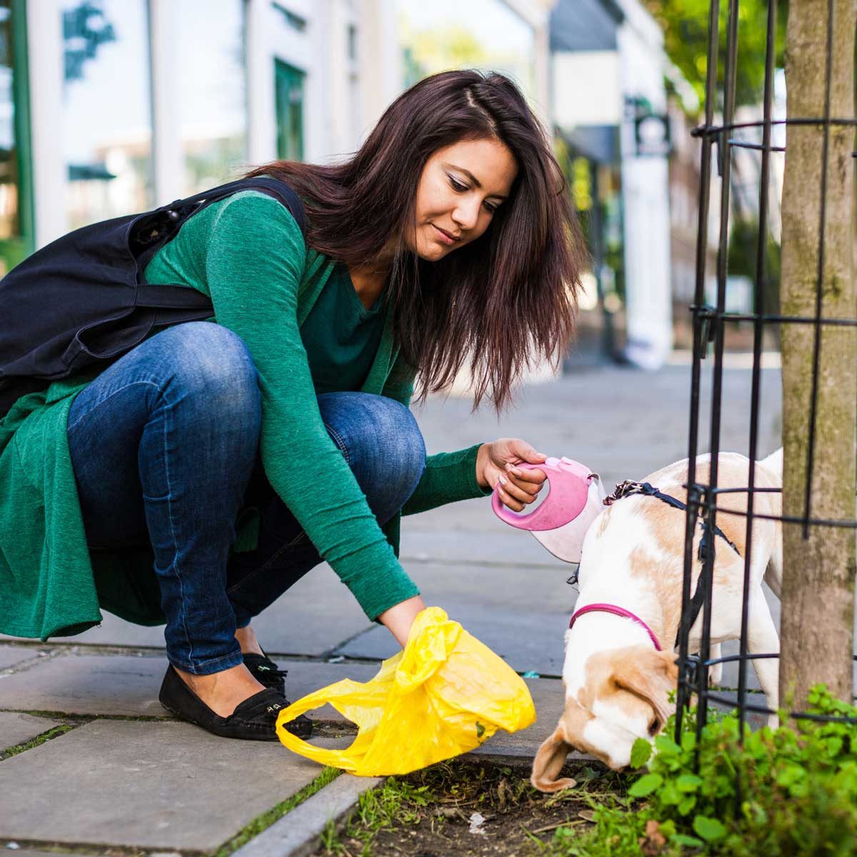 How to Clean Up Dog Poop in 8 Easy Ways
