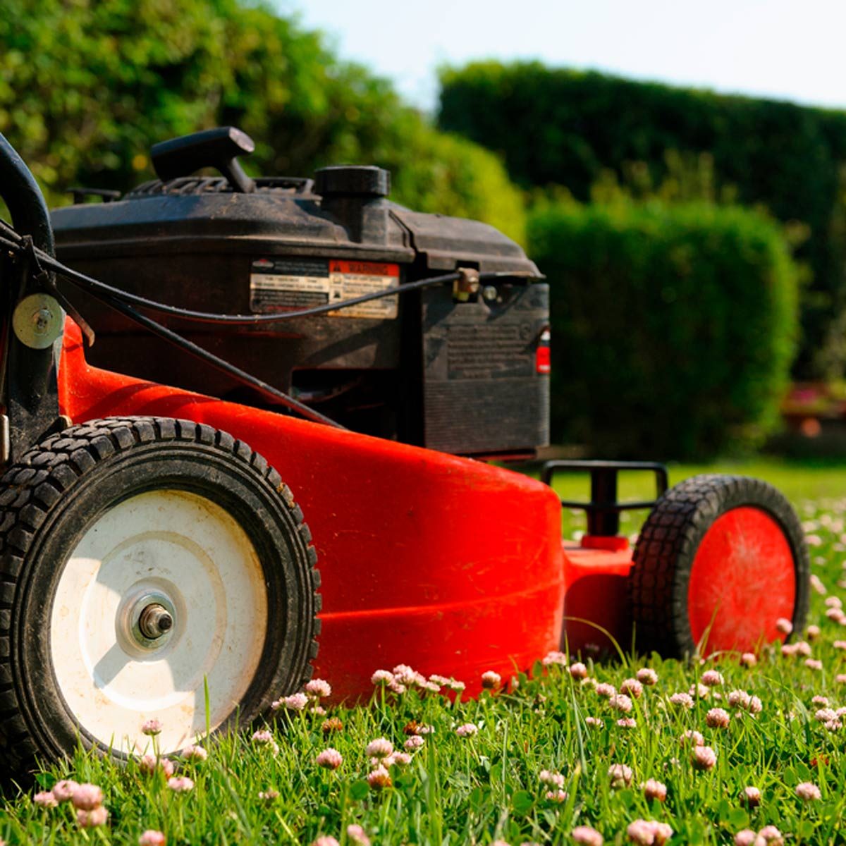 How to Cut Grass: Do's and Don'ts