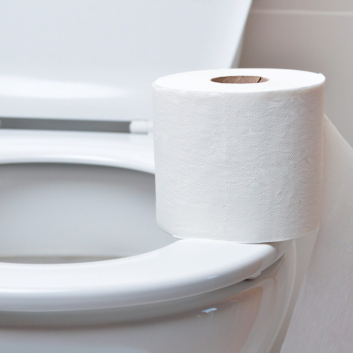 Is Expensive Toilet Paper Actually Bad for Your Toilet?