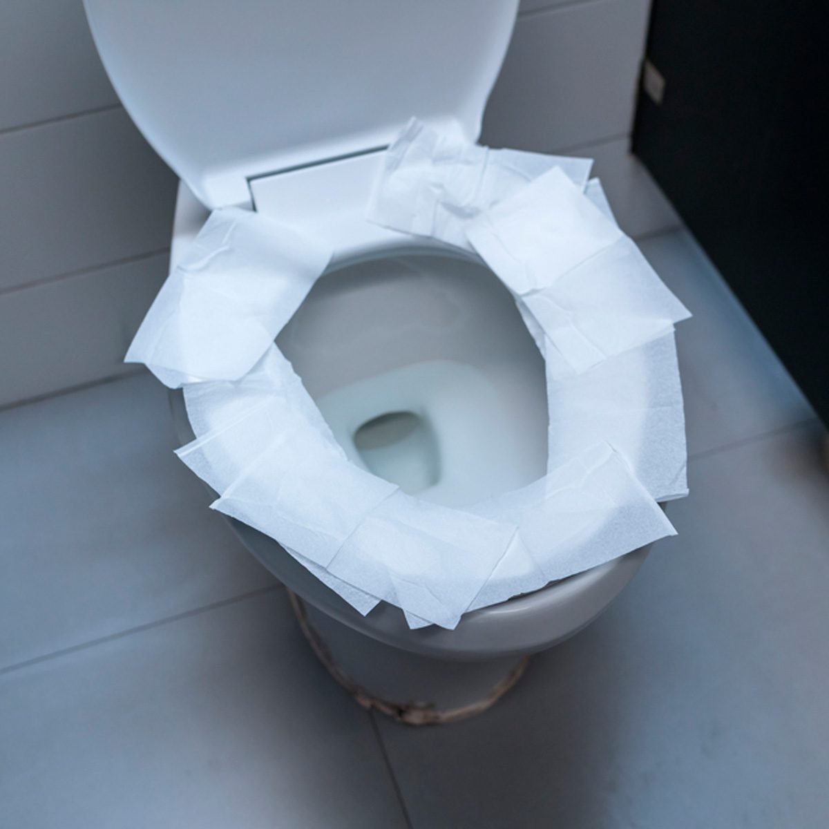 Stop Believing This Toilet Myth