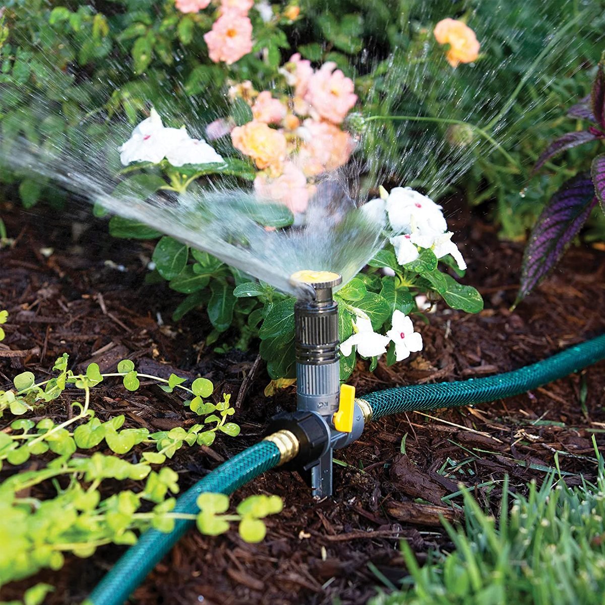Find the Best Sprinkler for Your Yard