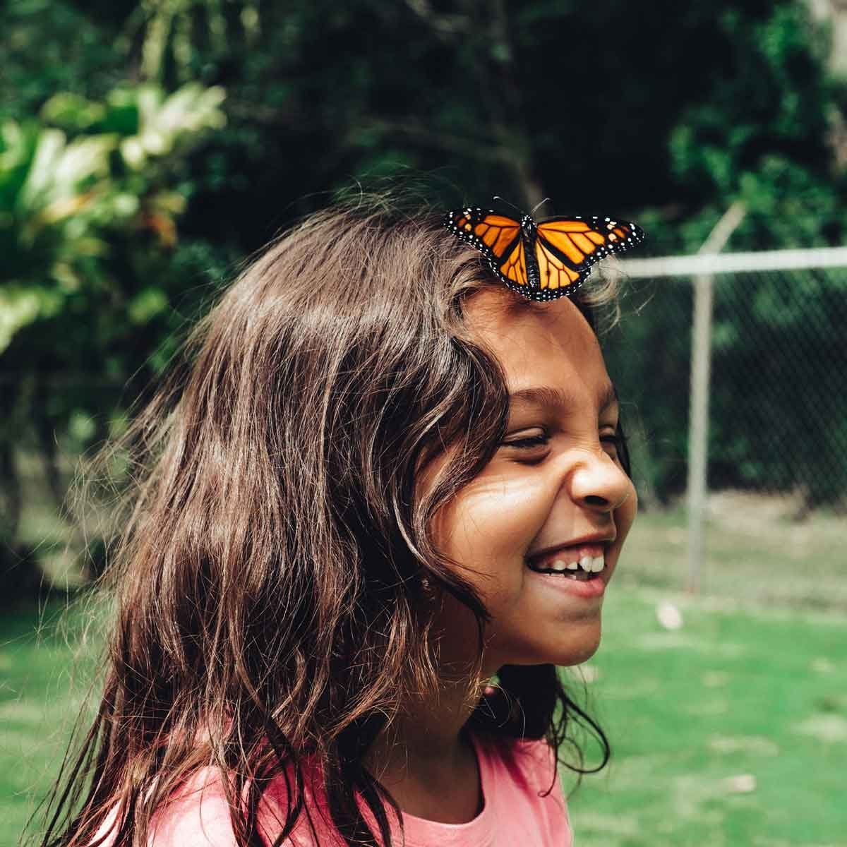 7 Tips for Attracting Butterflies to Your Backyard