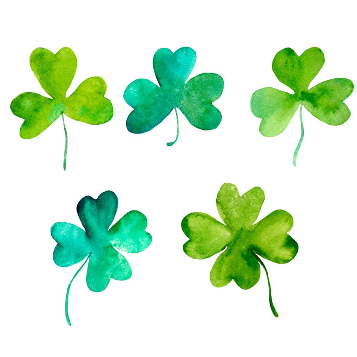 Shamrocks and Four-Leaf Clovers: What's the Difference?