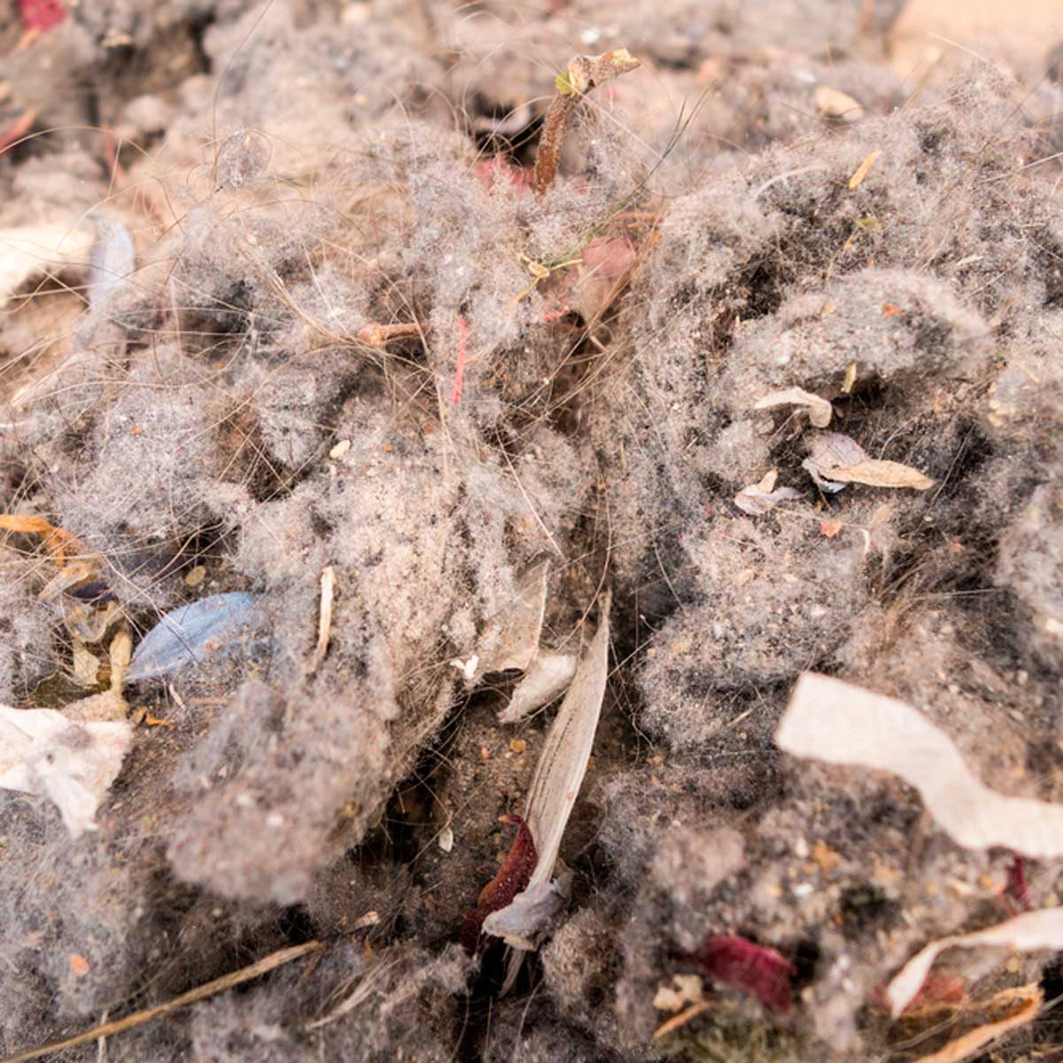 10 Things You Didn't Know You Could Compost | Family Handyman