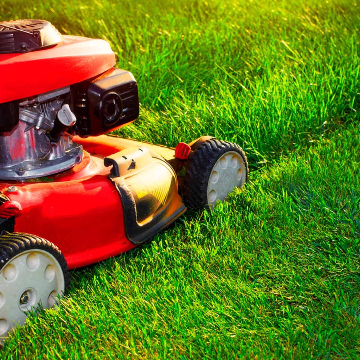 This Is the Most Efficient Way to Mow the Grass