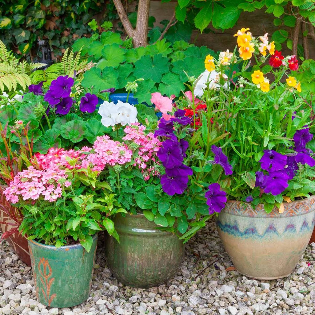 12 Essential Spring Gardening Tips From the Pros | Family Handyman