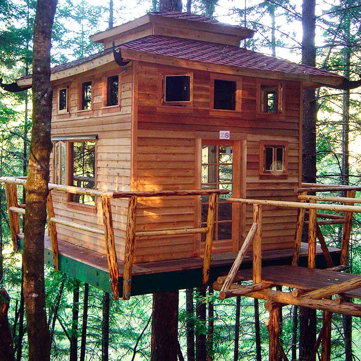 Amazing Treehouse Ideas And Building Tips Family Handyman