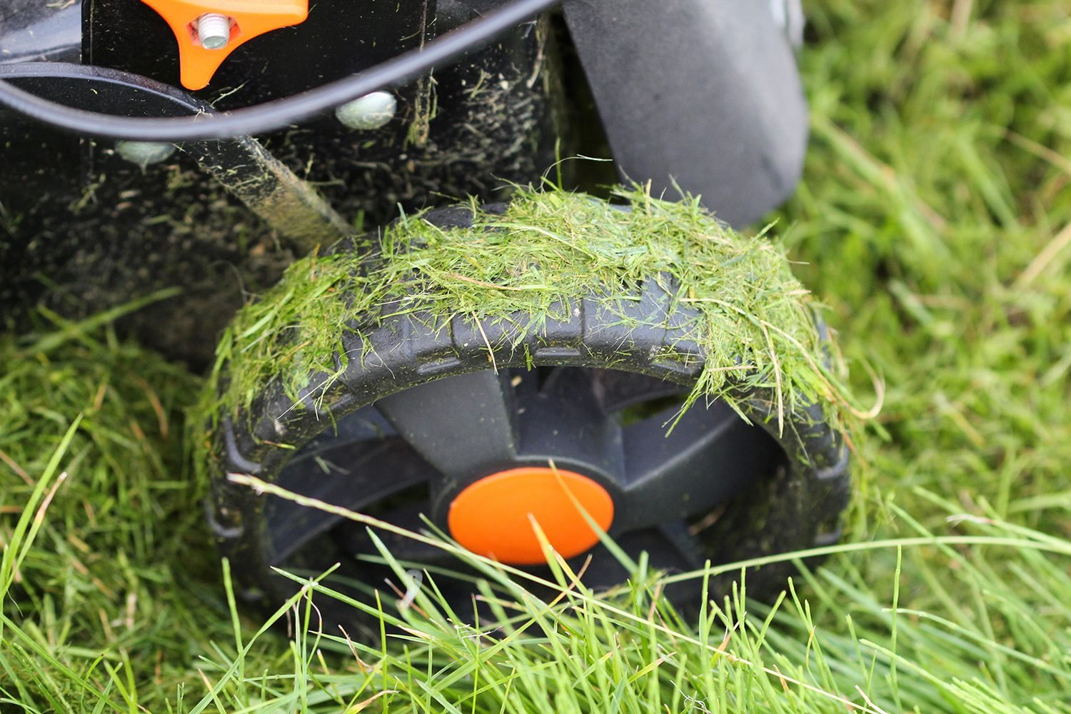 Here’s Why You Shouldn’t Mow Your Grass When It’s Wet