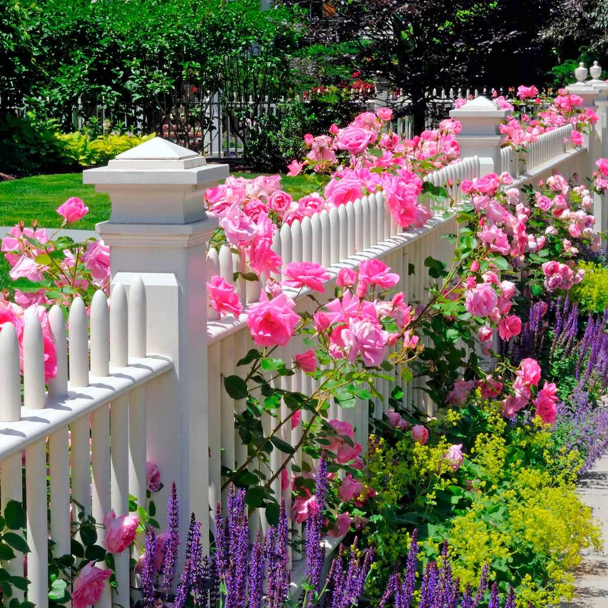 Flower Bed Ideas for the Front of Your House Family Handyman