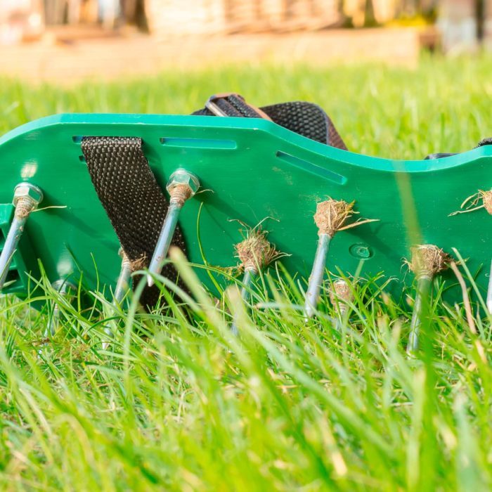 Lawn Aerator Shoes: Do They Really Work? | Family Handyman