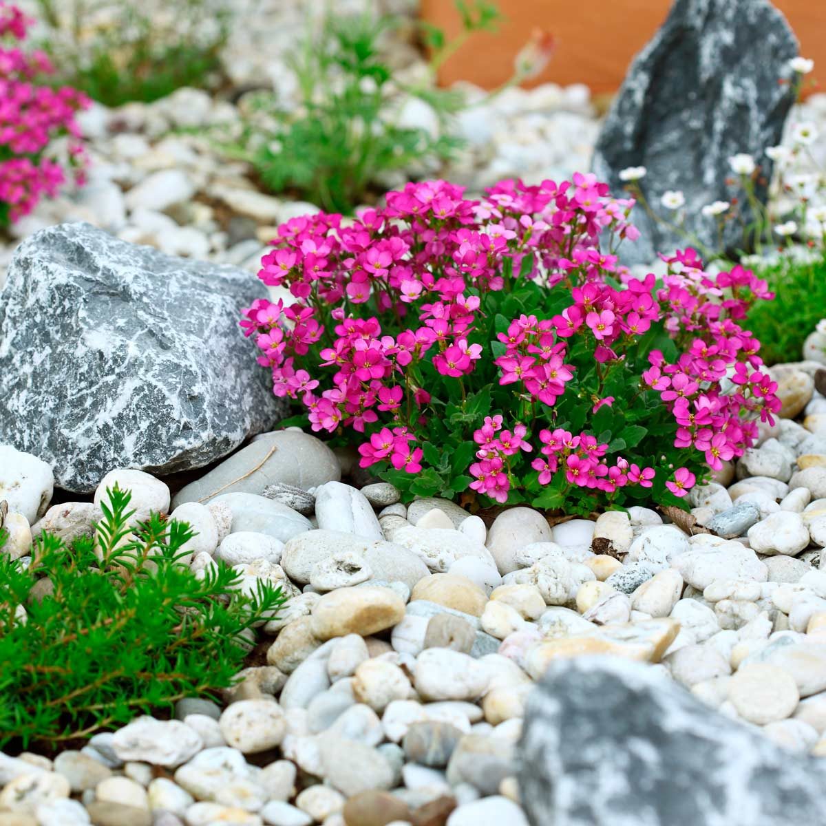 Tips for the Perfect River Rock Flower Bed