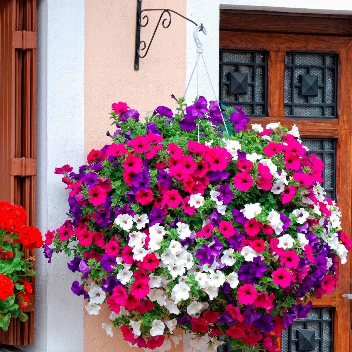 Flower Bed Ideas for the Front of Your House | Family Handyman
