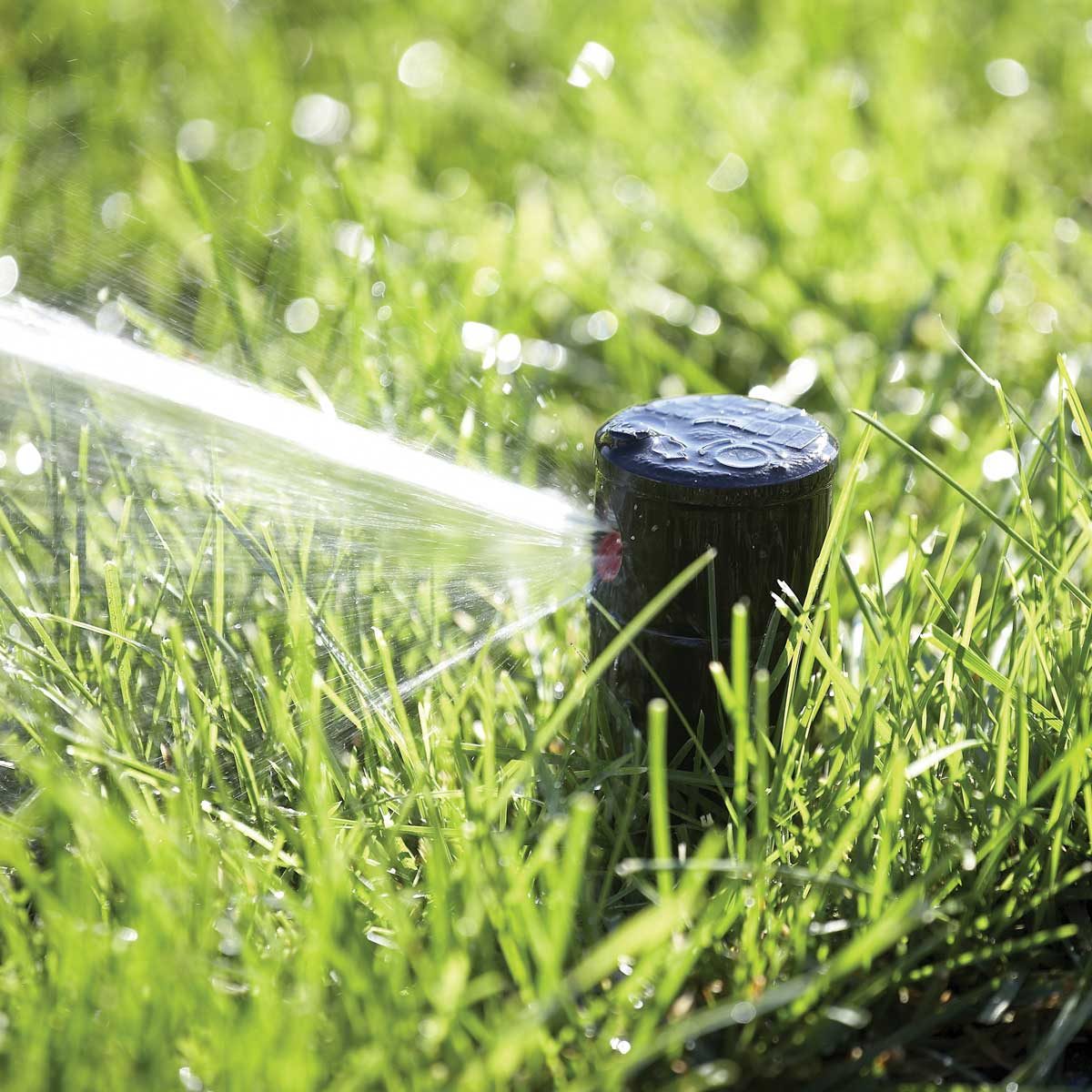 Lawn Sprinkler Repair & Sprinkler System Installation in