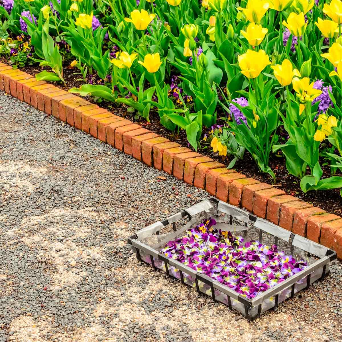 5 Favorite Flower Bed Edging Ideas Family Handyman