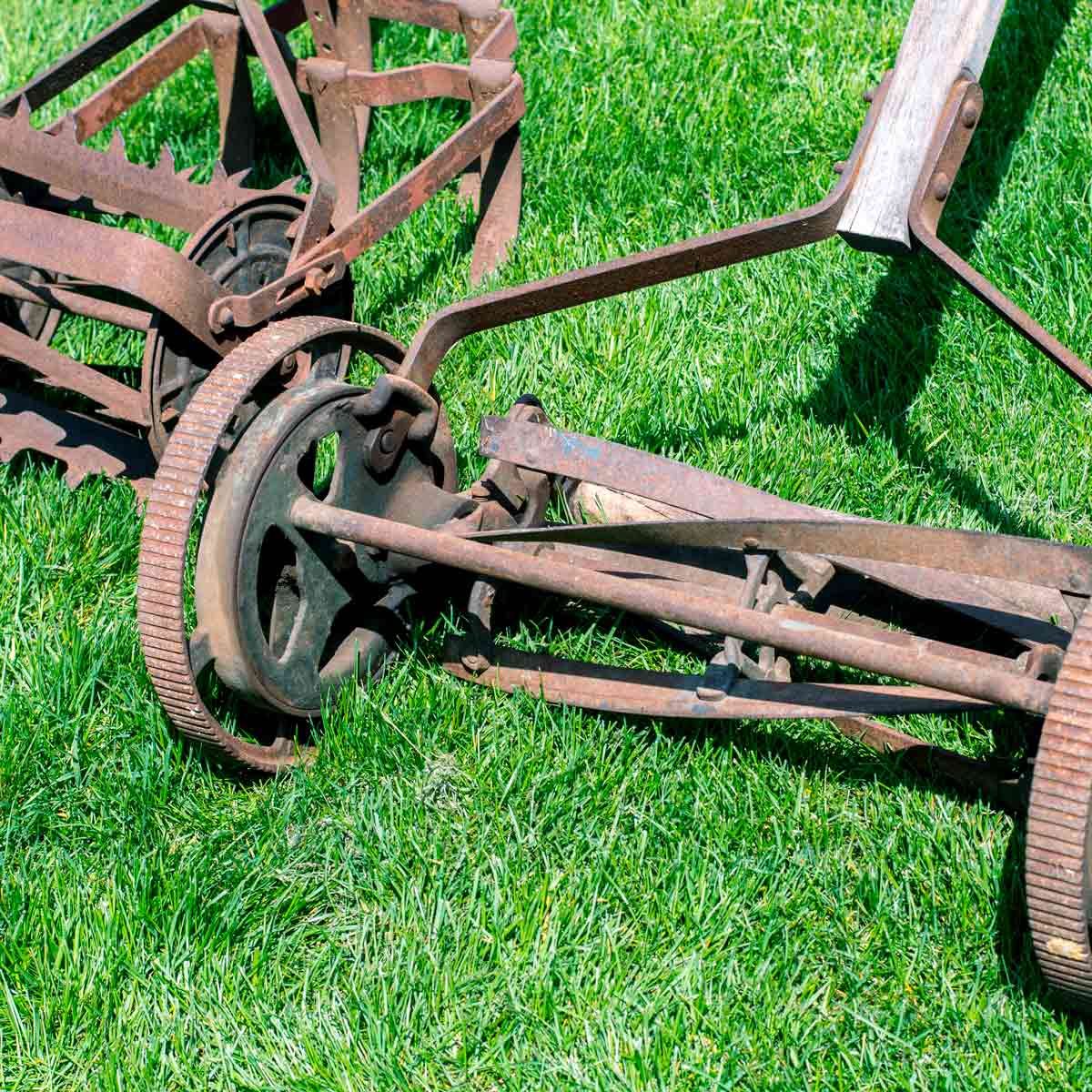 Antique Reel Lawn Mower / Maxwell's Ltd.