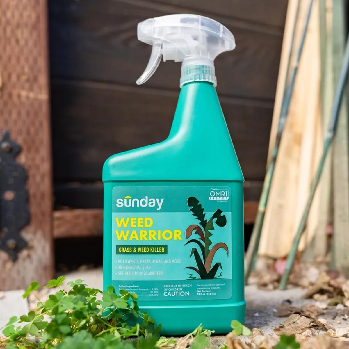 5 Best Organic Weed Killers That Are Safe for the Yard, According to an Expert