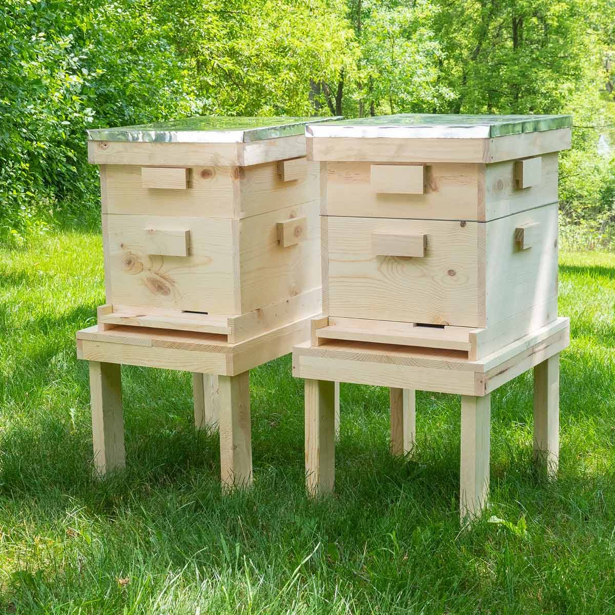 How to Build a Beehive