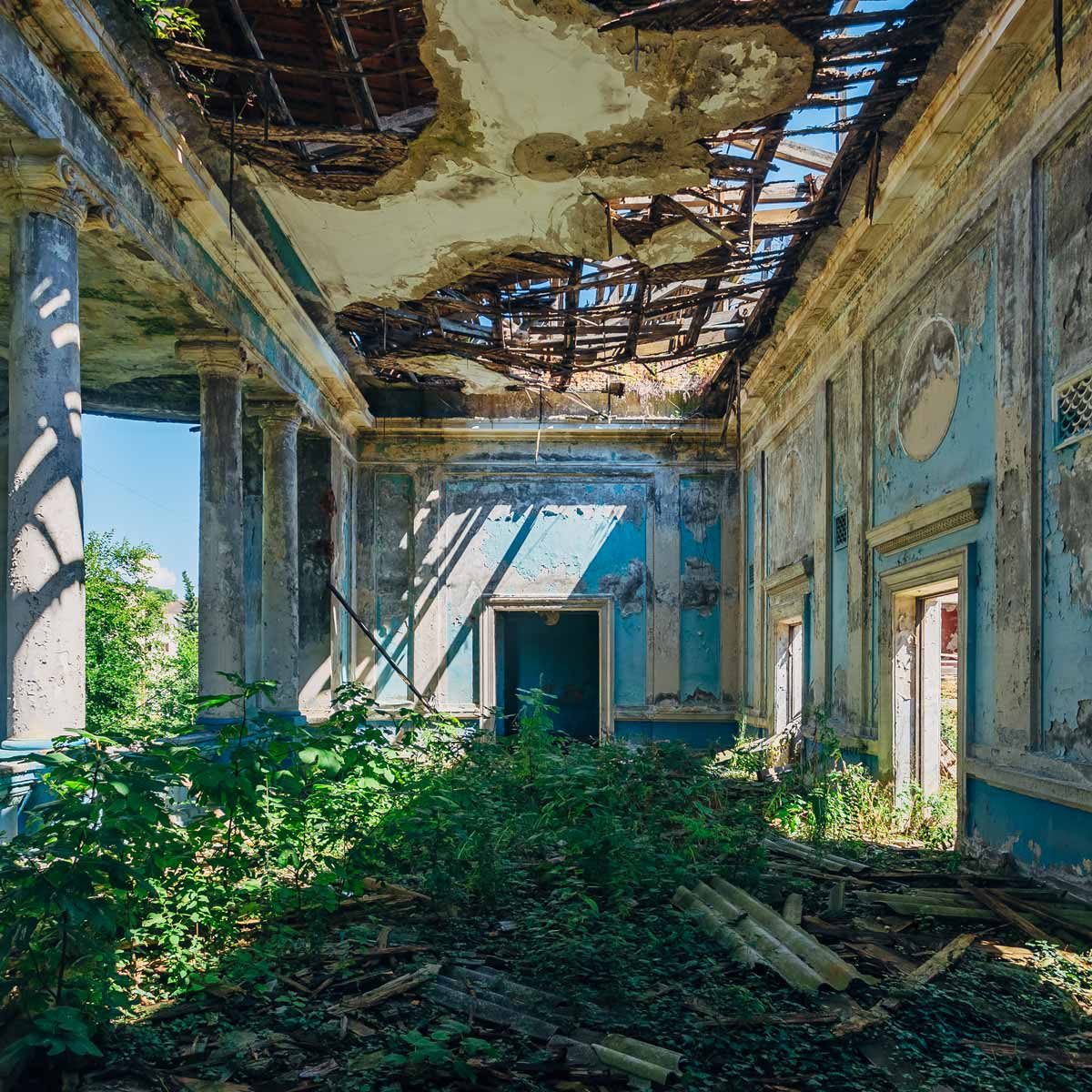 What Happens When Nature Takes Over Abandoned Homes Family