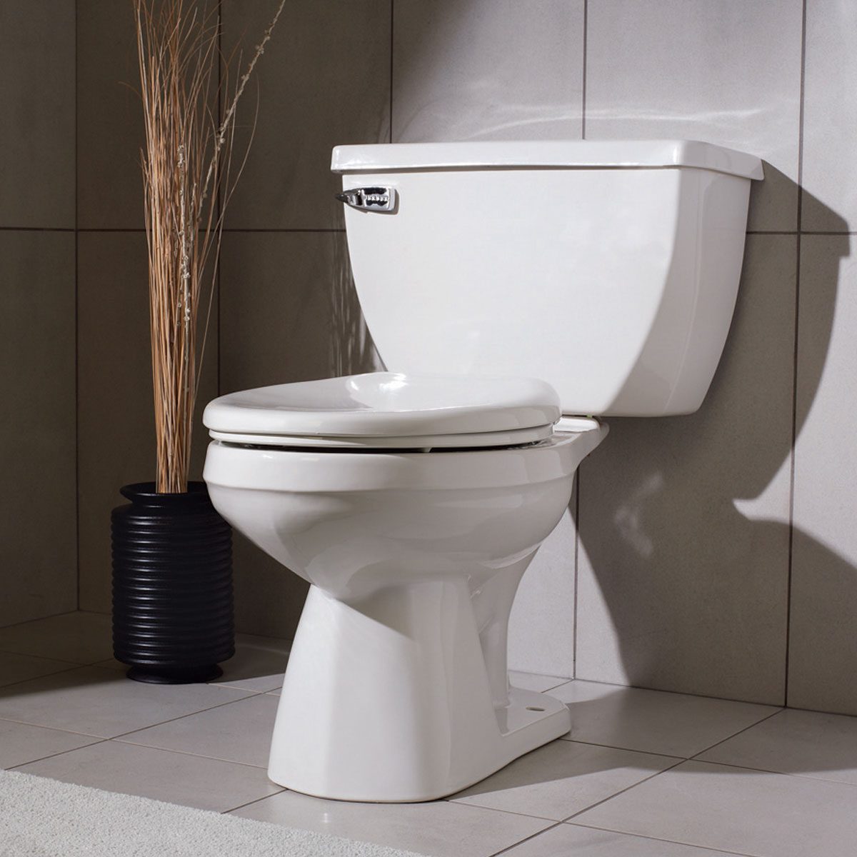 How to Buy the Best Toilet for Your Home Family Handyman