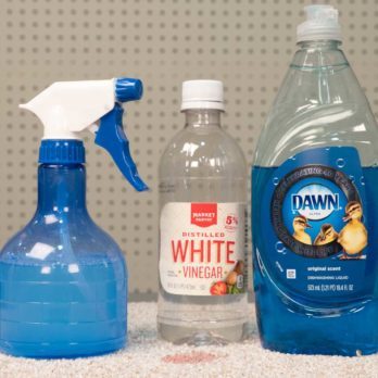 How to Get Blood Out of Carpet | Family Handyman