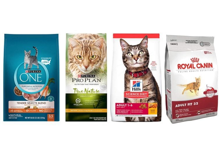 10 Best Dry Foods for Cats, According to Vets Family Handyman