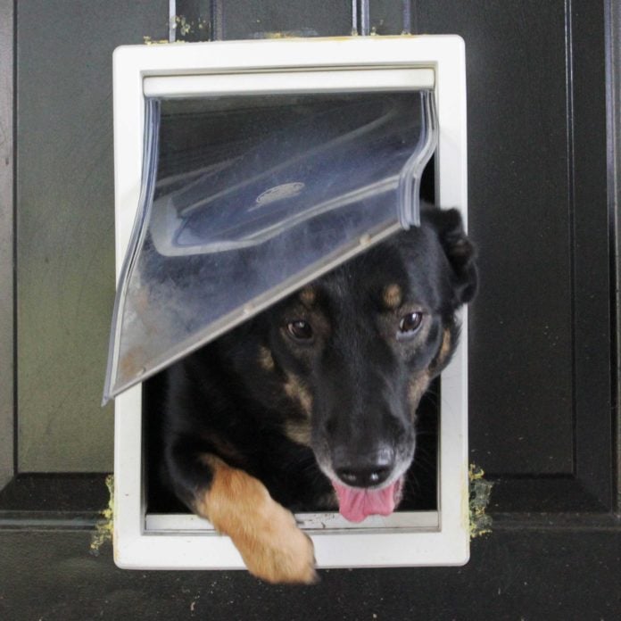 Dog Mate Large Dog Door, Easy Fitting, Fast Installation, Convenient