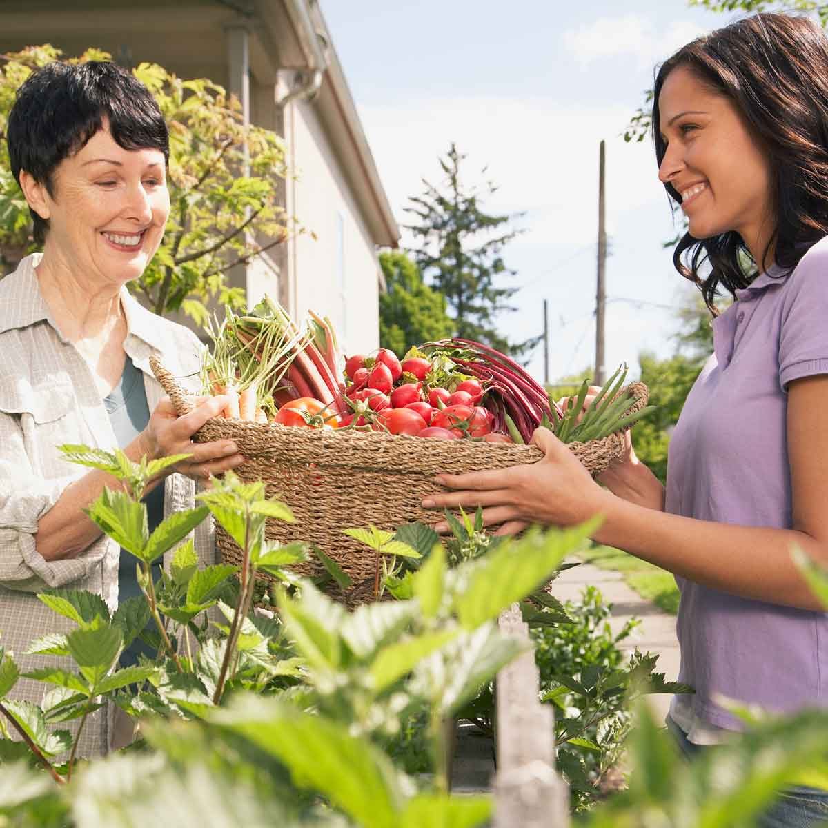 Neighbors Sharing Garden Harvest