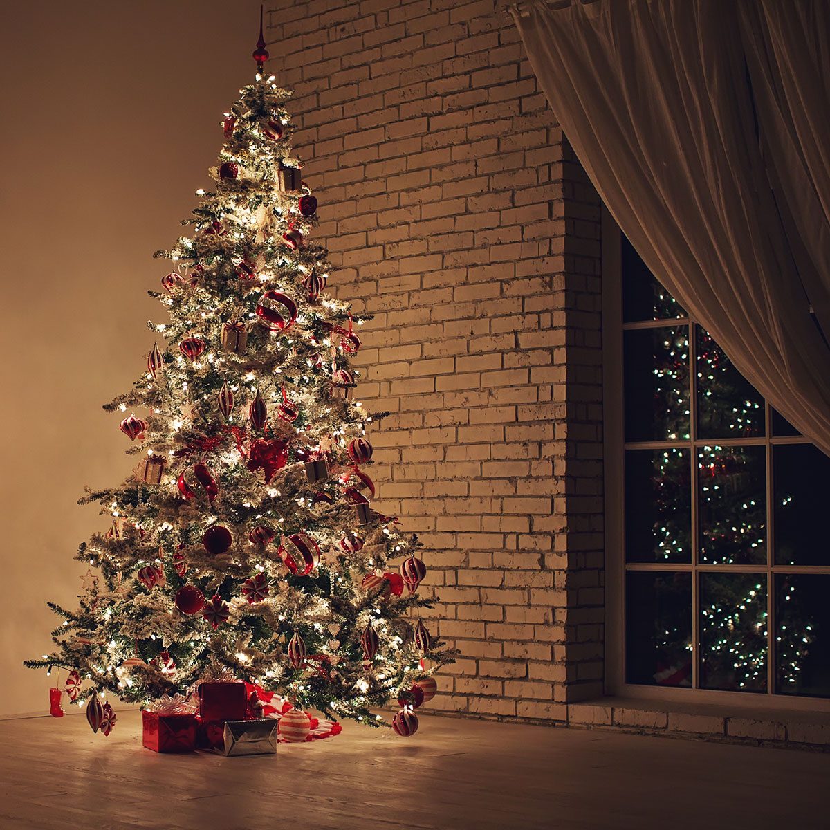 where to get a christmas tree