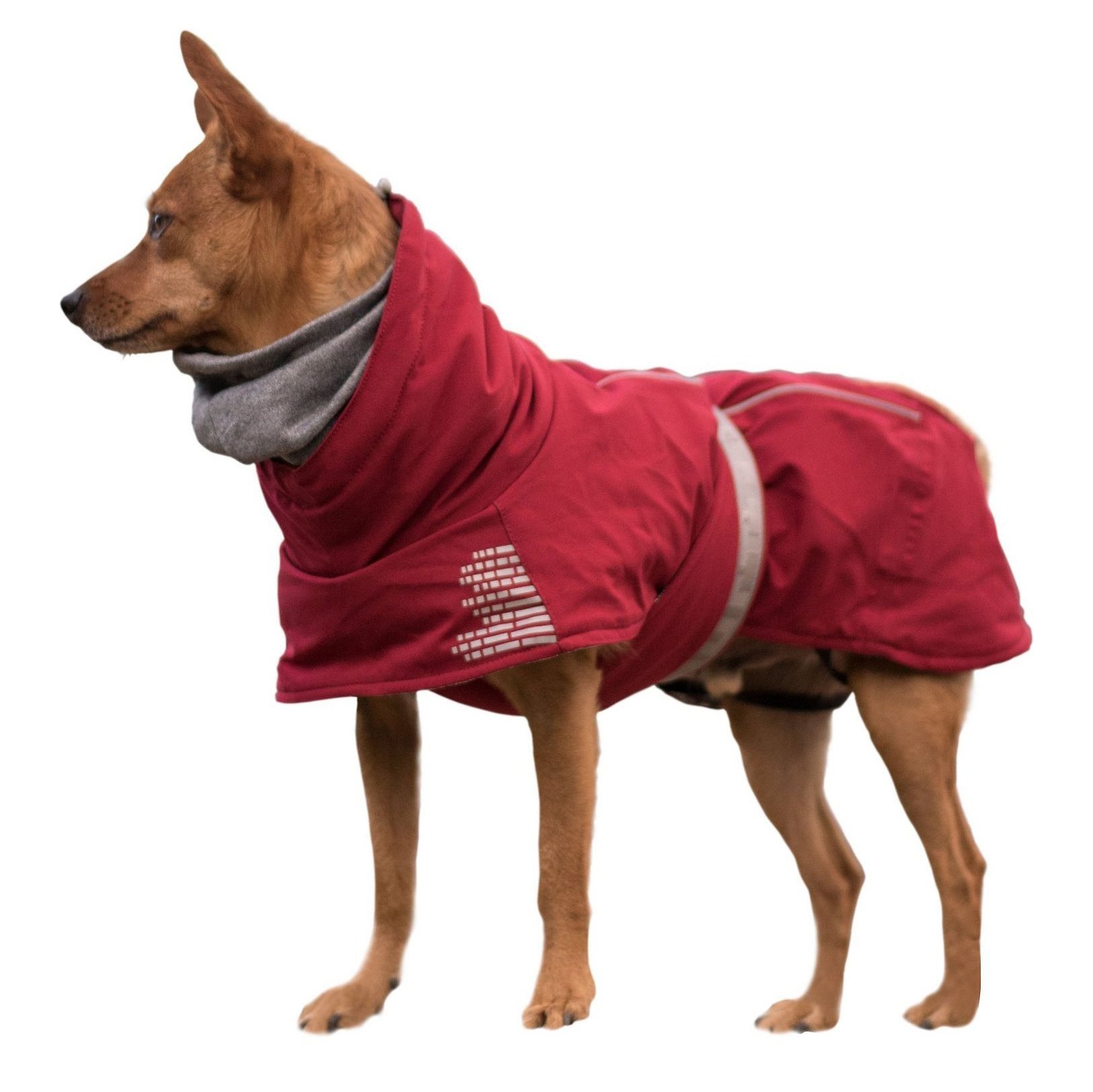 Best Dog Coats With Legs Uk at Katherine King blog