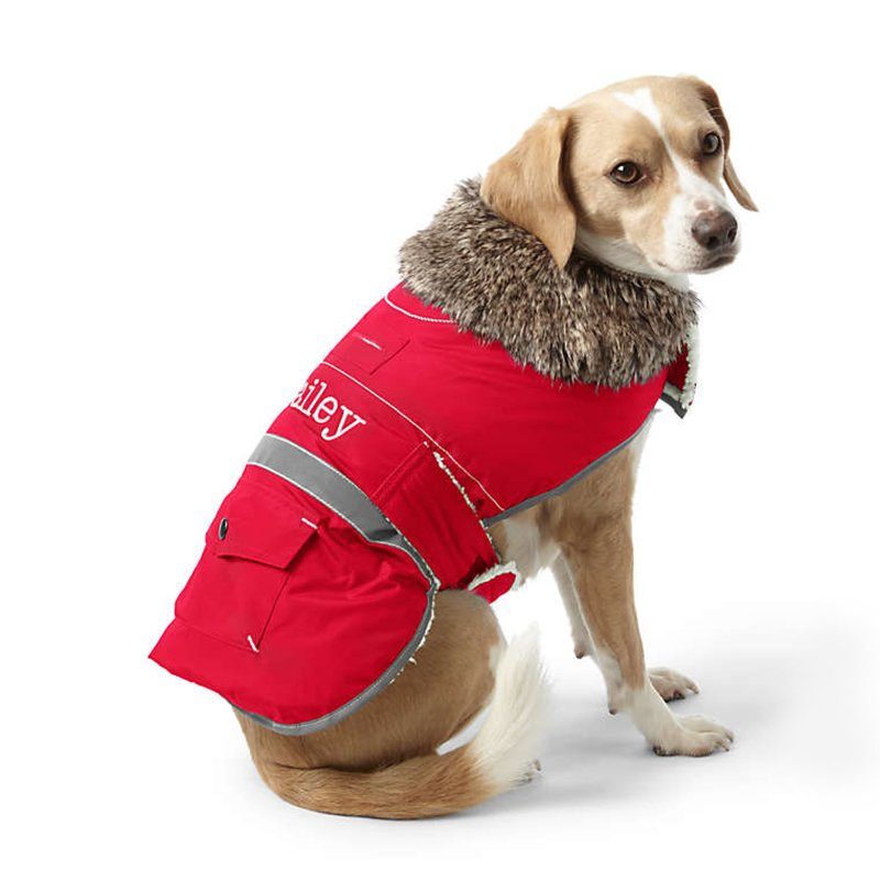 12 Coziest Dog Coats for Winter | The Family Handyman