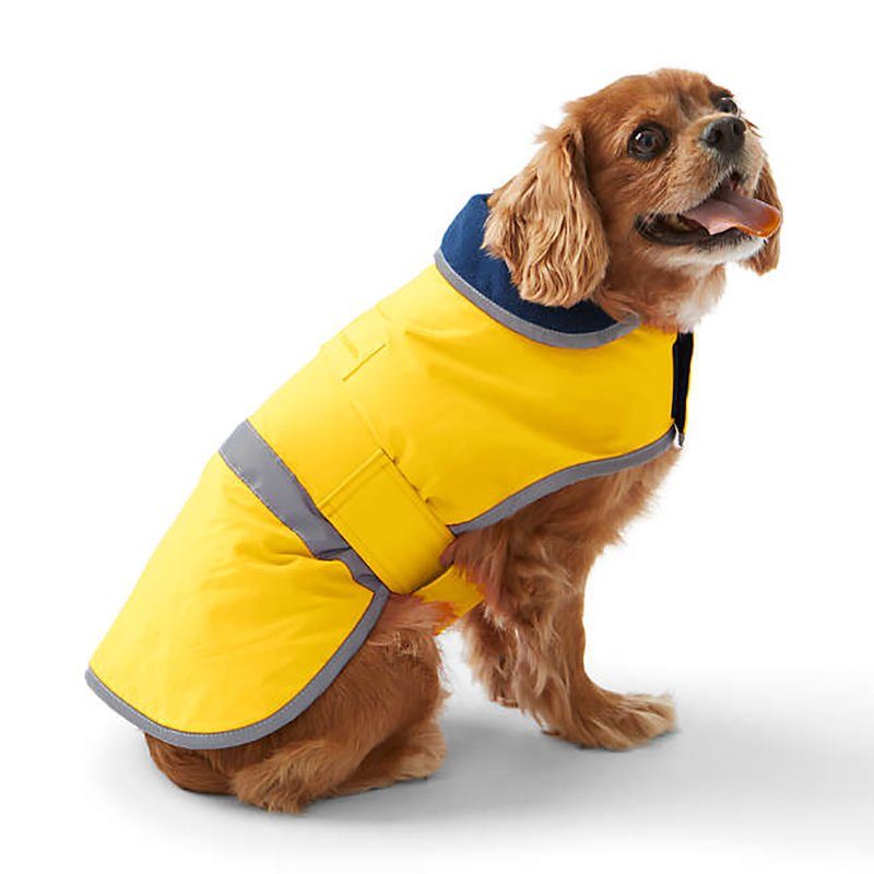 12 Coziest Dog Coats for Winter The Family Handyman