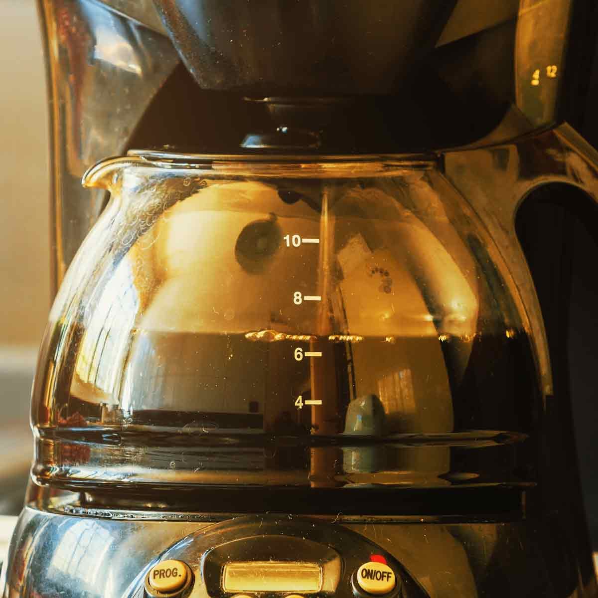 Ninja Coffee Brewer CF020 Review